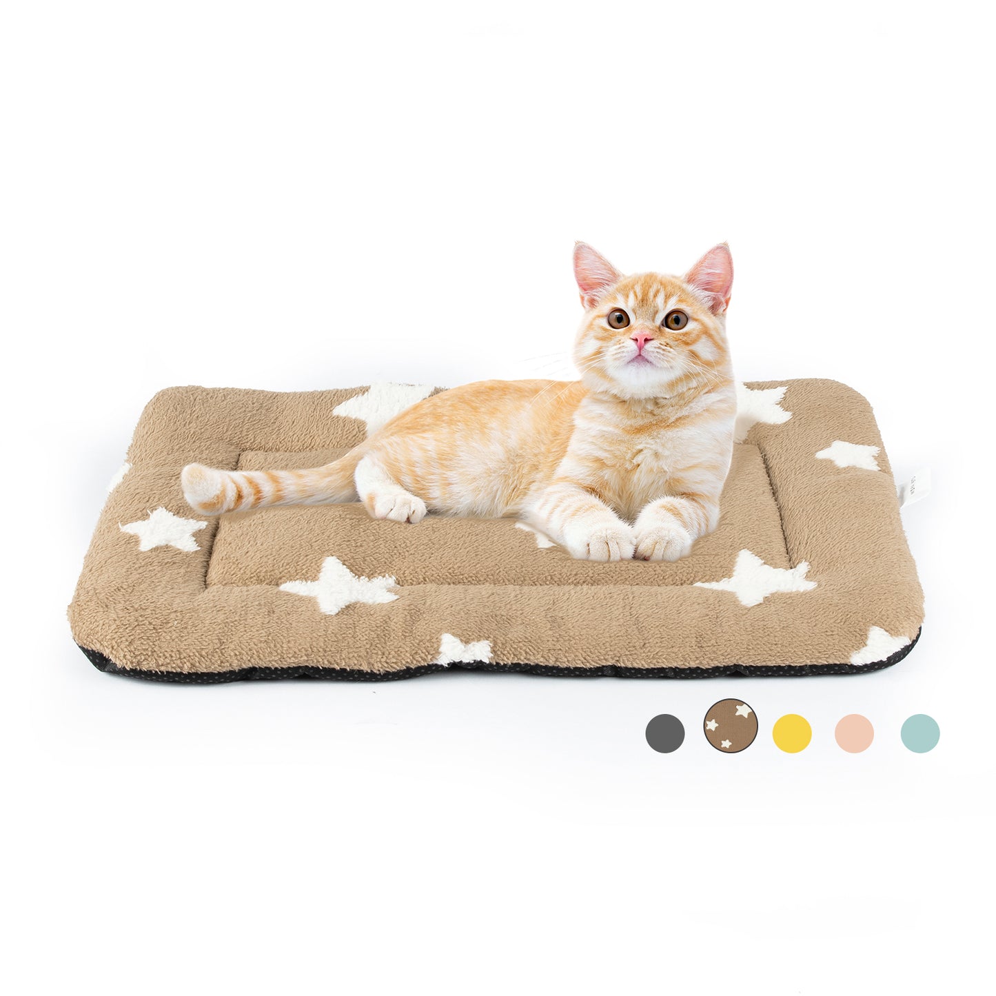 Star Print Pet Cushion