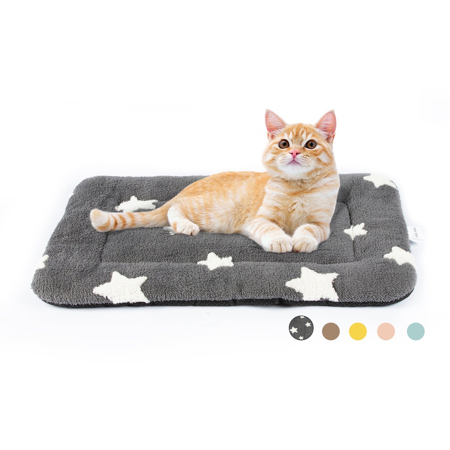 Star Print Pet Cushion