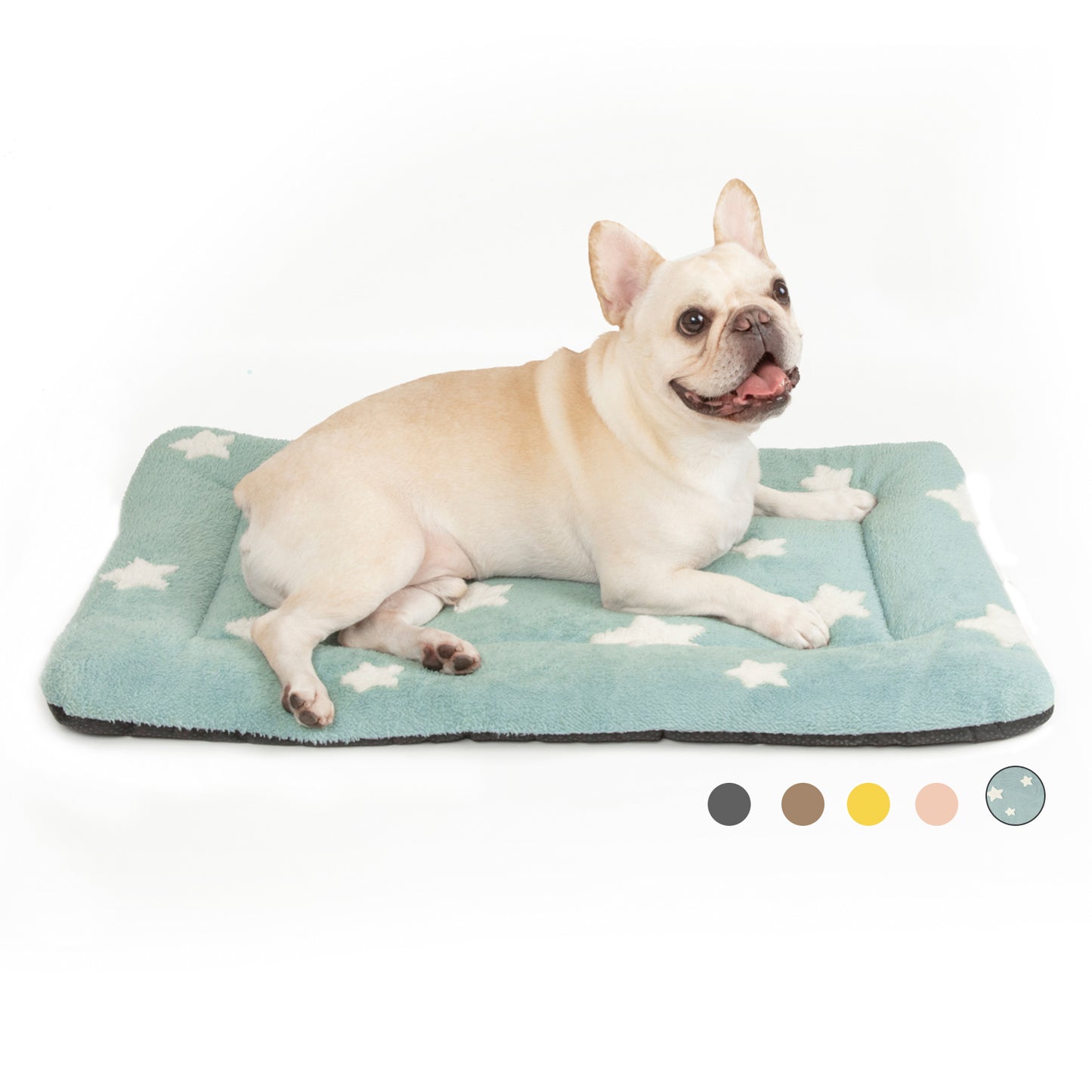 Star Print Pet Cushion