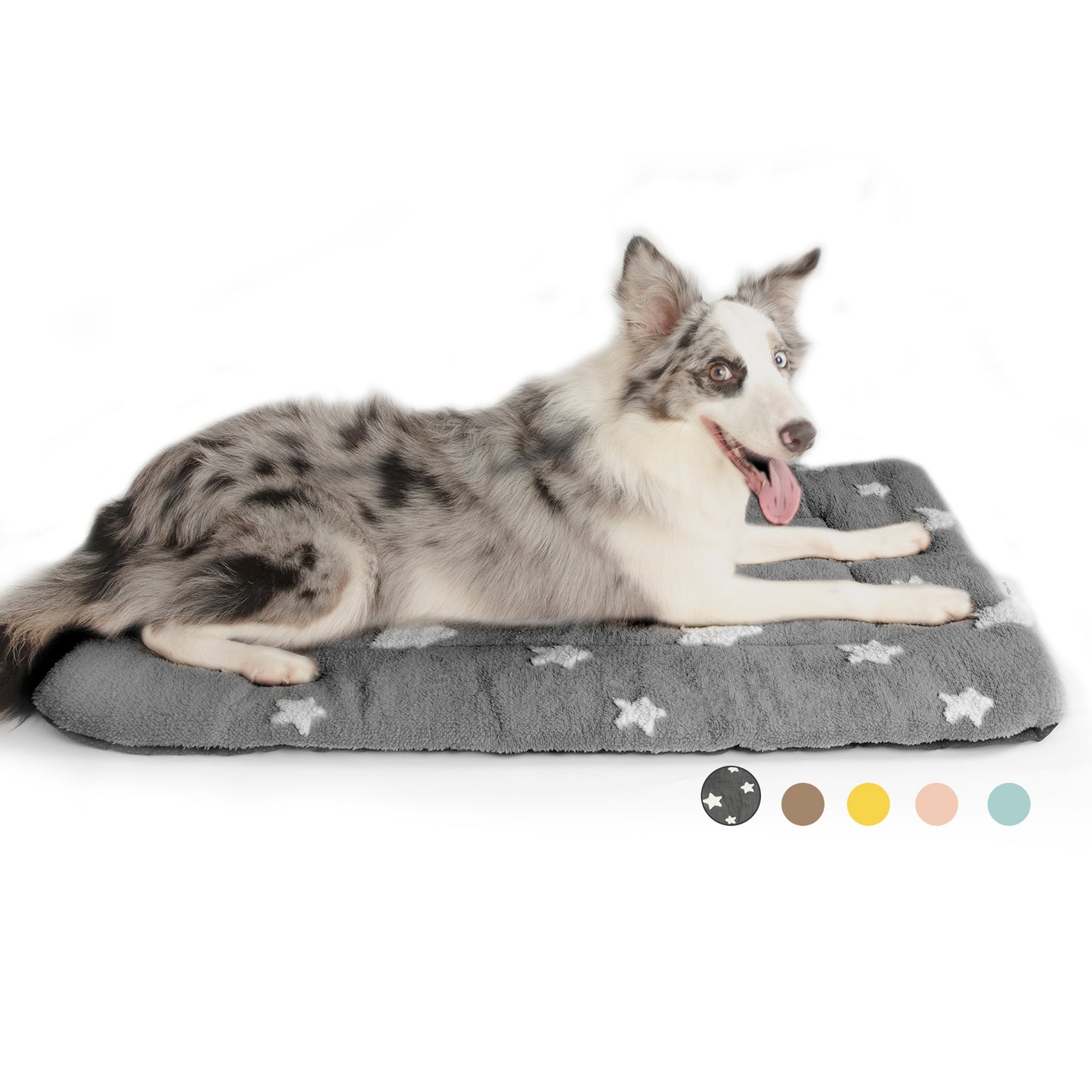 Star Print Pet Cushion