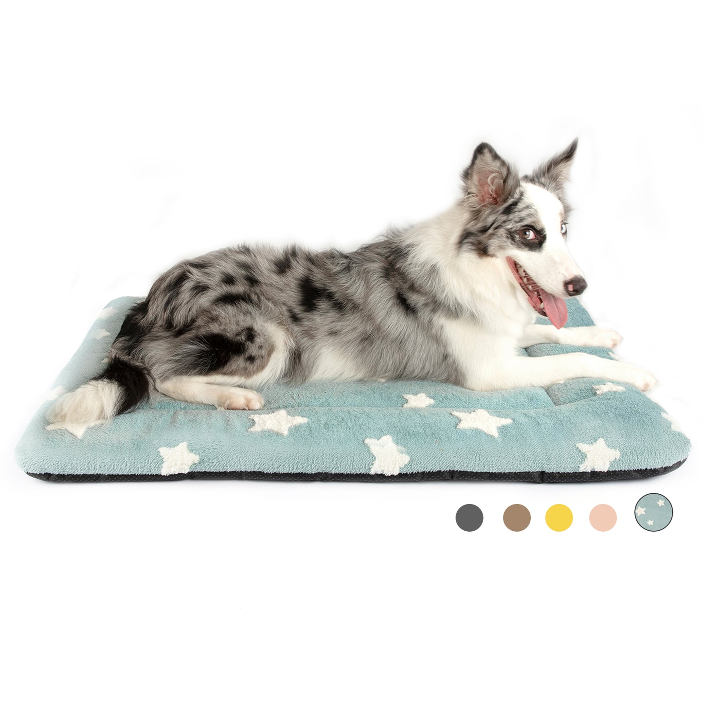 Star Print Pet Cushion