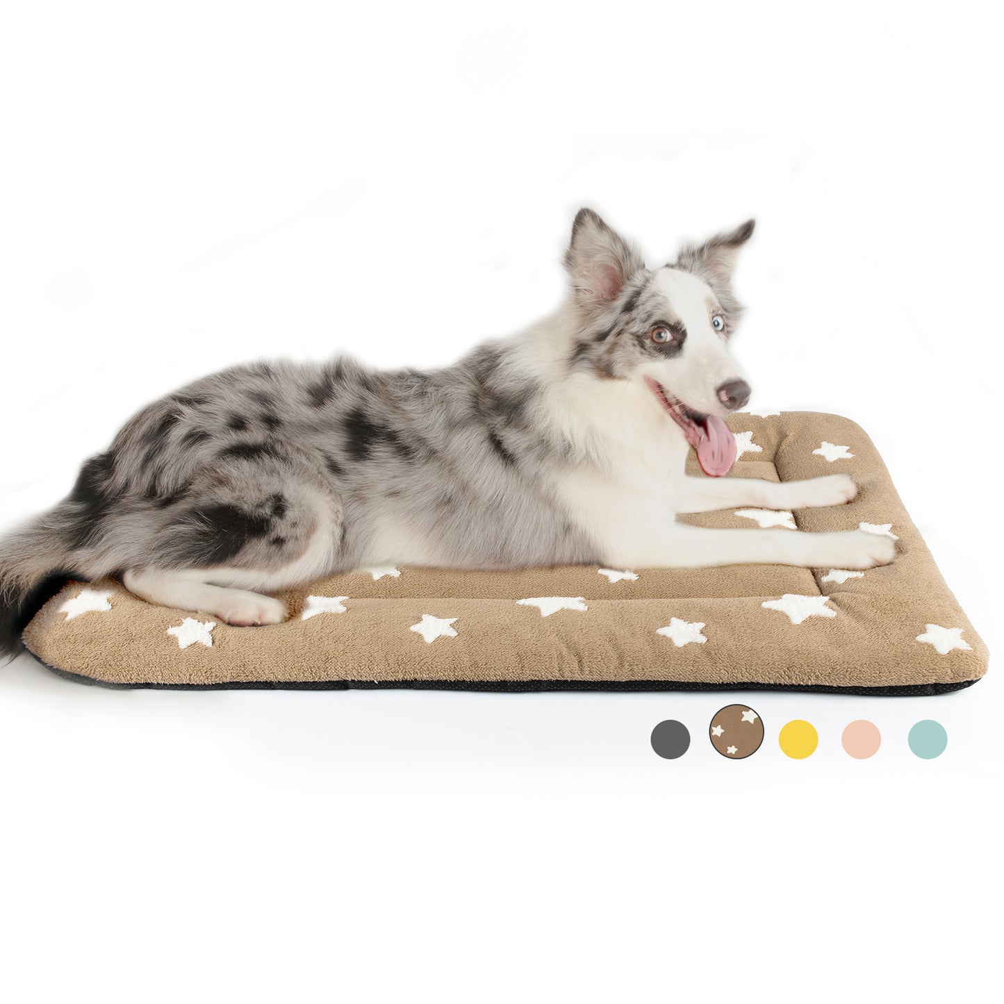 Star Print Pet Cushion