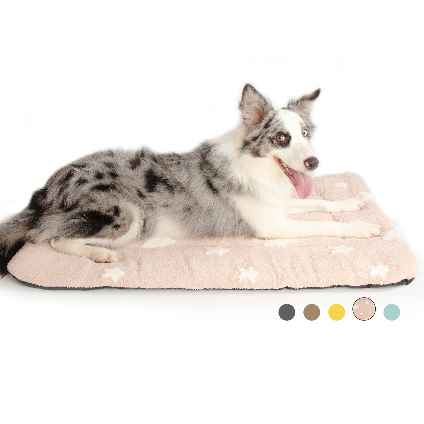 Star Print Pet Cushion