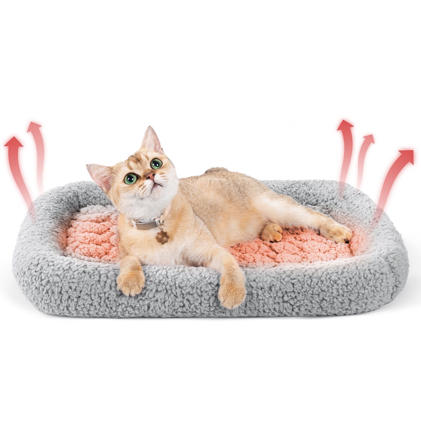 Self Warming Bolster Cat Bed