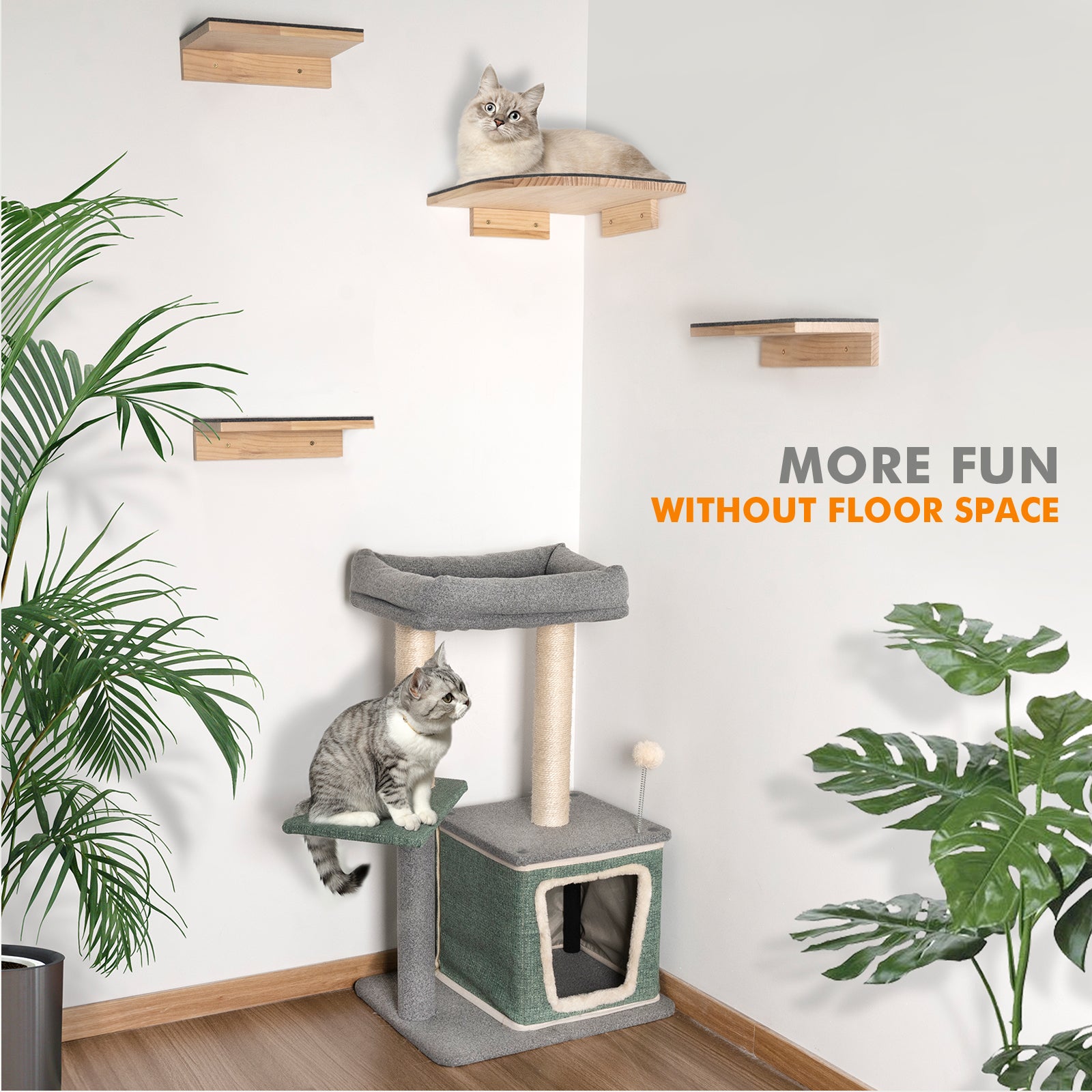 Best clearance cat shelves