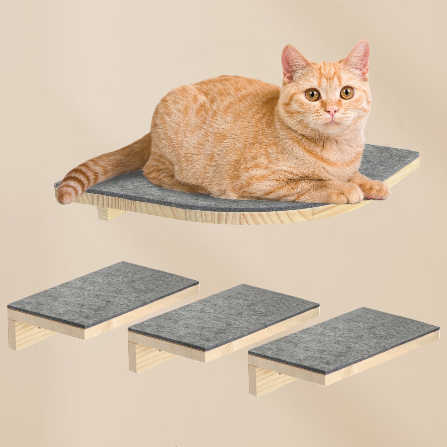 Cats Wall Mounted Shelves