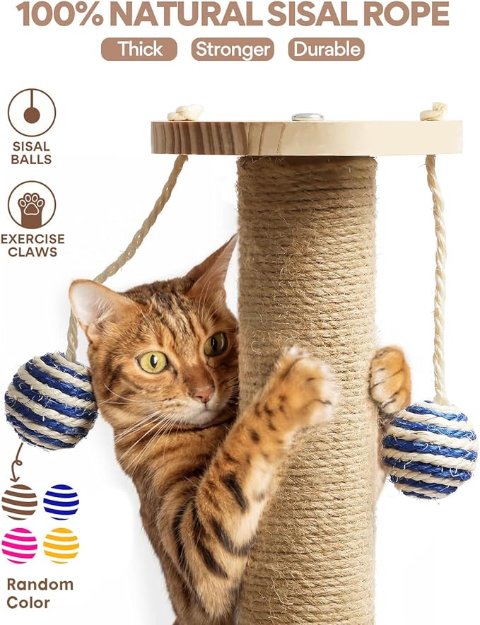 Interactive Cat Scratching Post