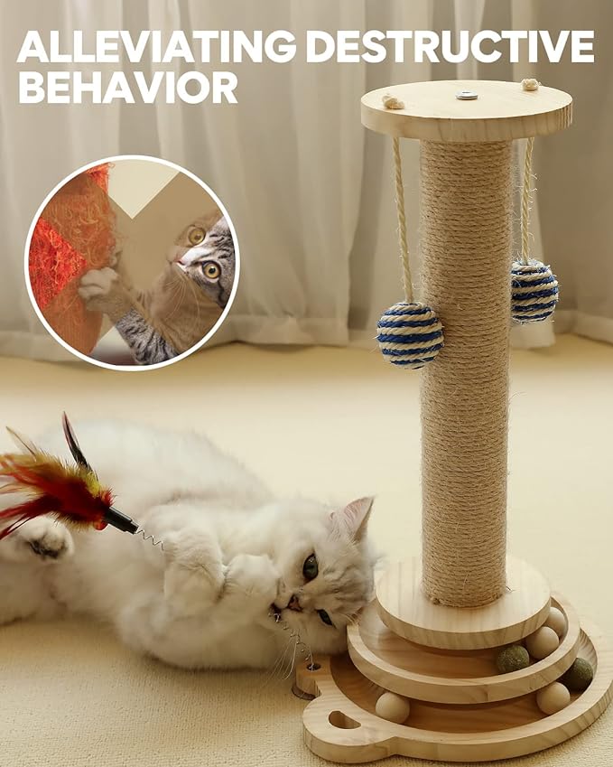 Interactive Cat Scratching Post