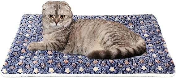 Star Pattern Soft Pet Pad