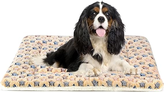 Star Pattern Soft Pet Pad