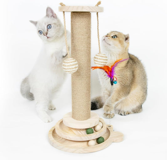 Interactive Cat Scratching Post