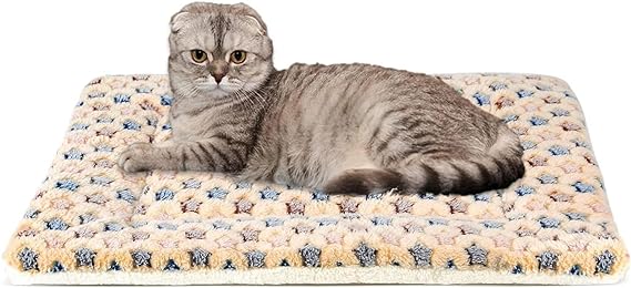 Star Pattern Soft Pet Pad