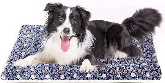 Star Pattern Soft Pet Pad